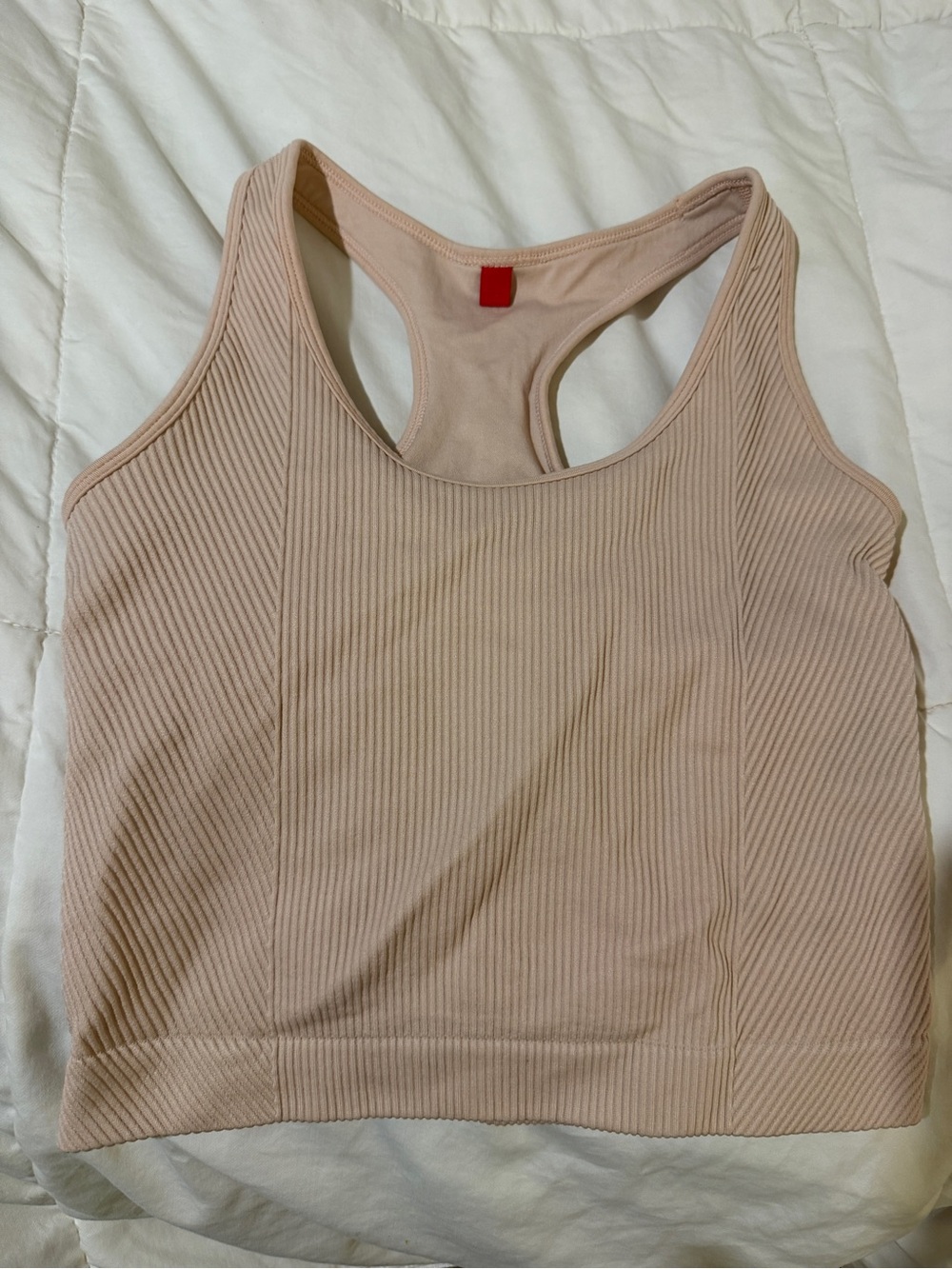 Wilson’s everyday brami- Blush